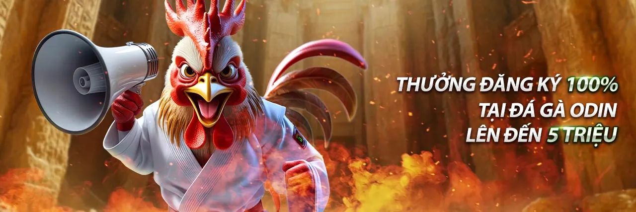 Hình ảnh hướng dẫn đăng ký và nạp tiền cho đá gà trực tiếp có bình luận